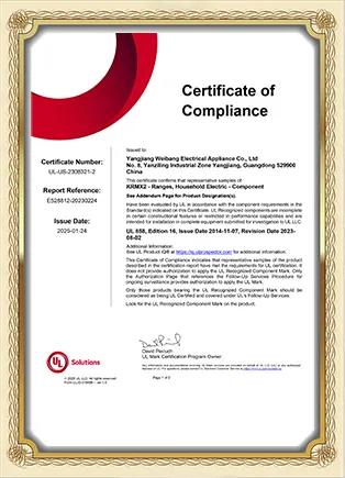 CE Certificate 1