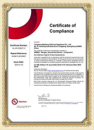 CE Certificate 2